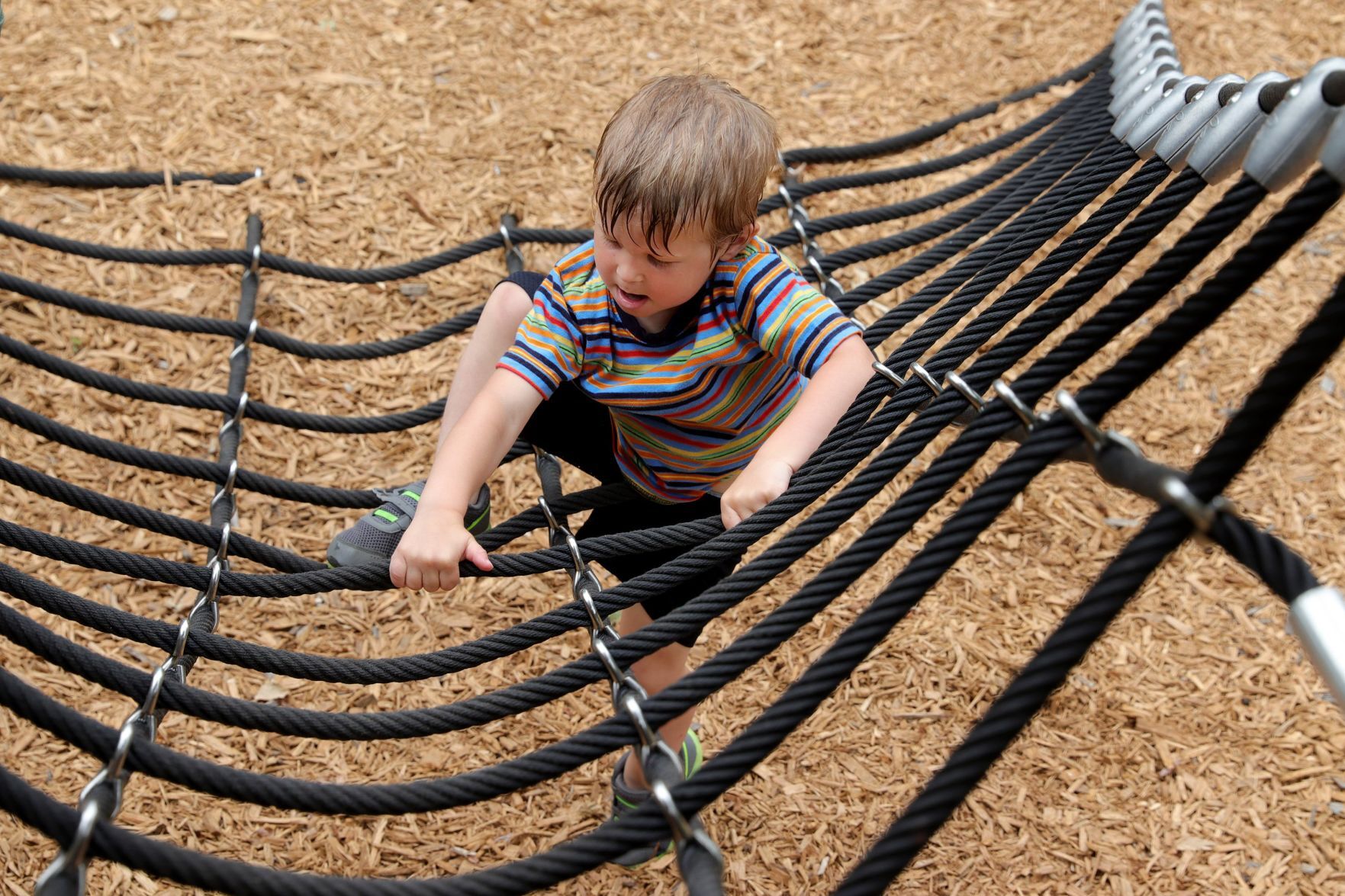 The Children's Garden at MoBot reopens